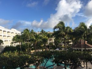 IMG_3989