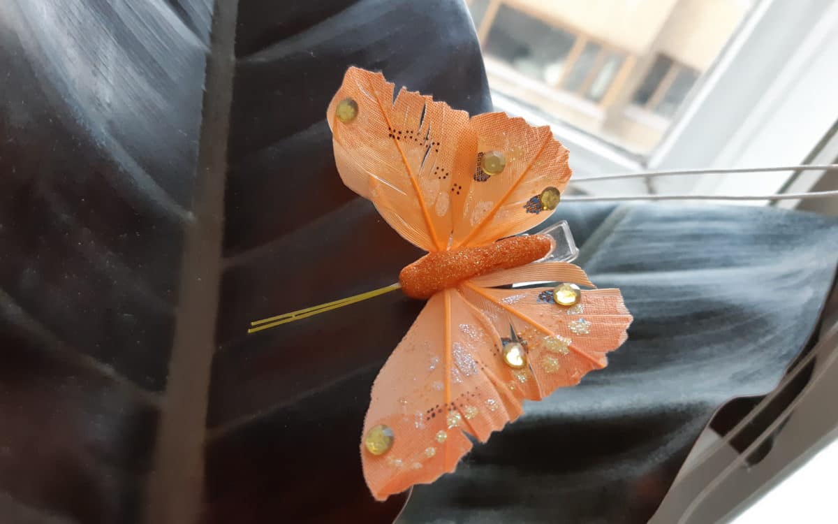 perhosnipsu kumipuun lehdellä