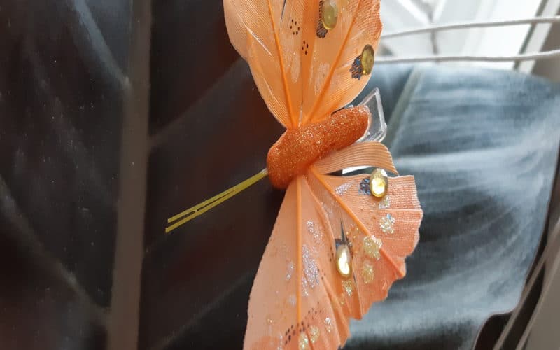 perhosnipsu kumipuun lehdellä