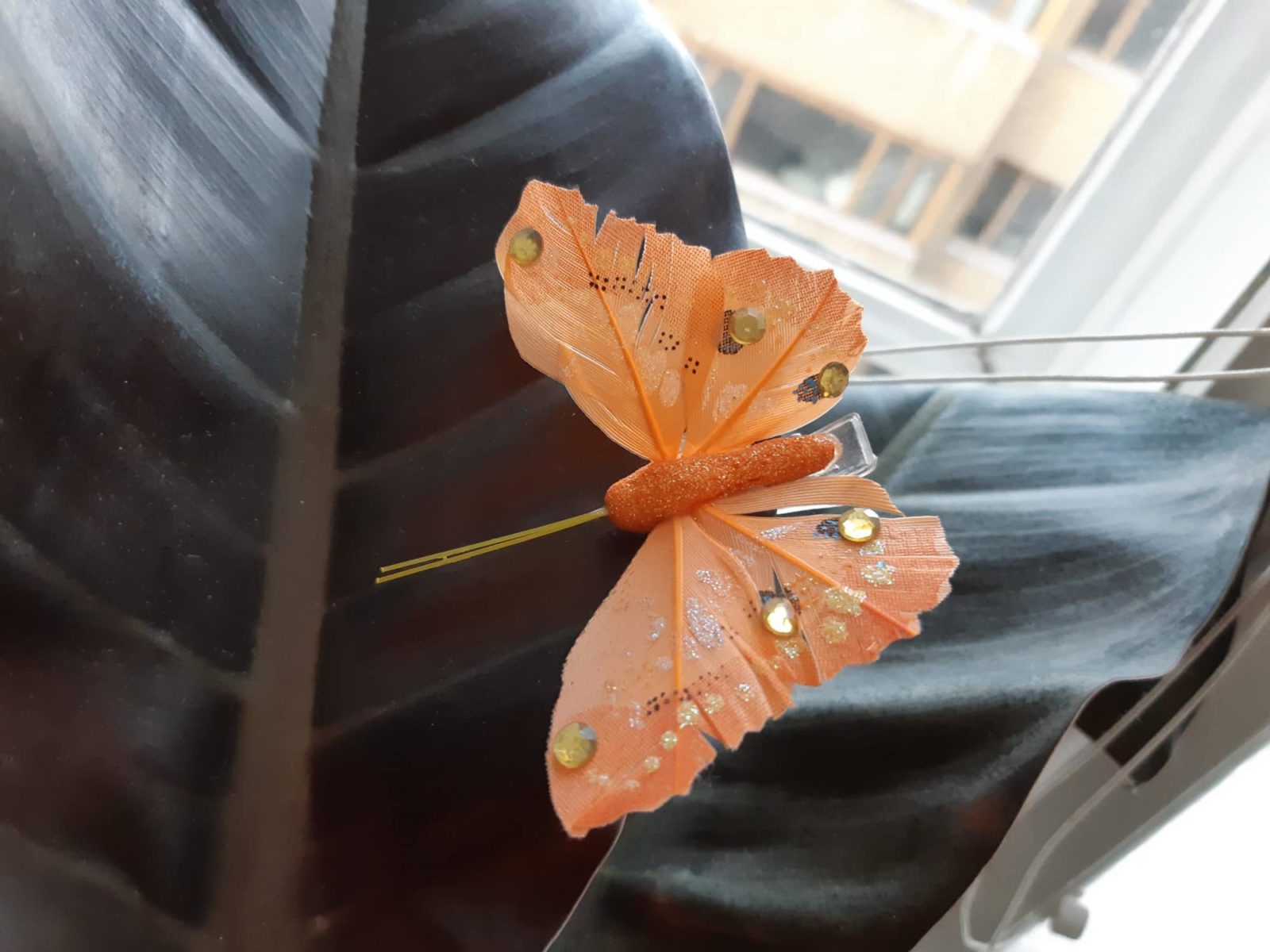 perhosnipsu kumipuun lehdellä