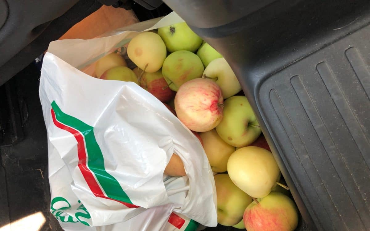 omenoita muovikassissa autossa